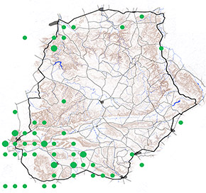 Meyer's Parrot Waterberg distribution