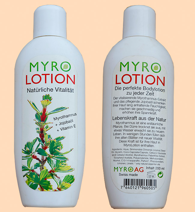 Myrothamnus flabellifolius oil